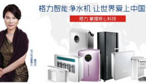 格力電器網絡營銷與網絡技術推廣整合方案